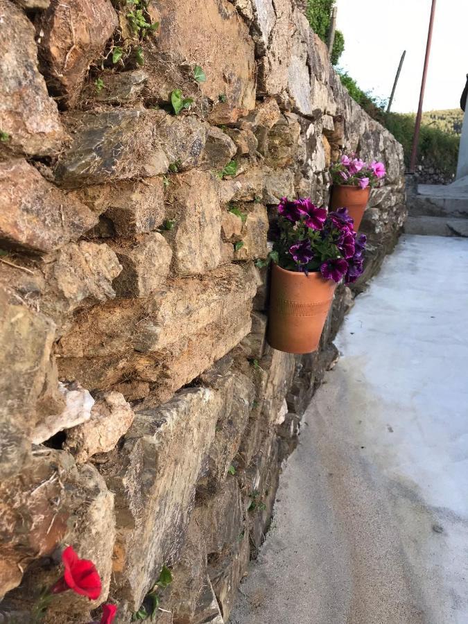 הוילה קסטלו דה פייבה Casa Da Clarinha מראה חיצוני תמונה